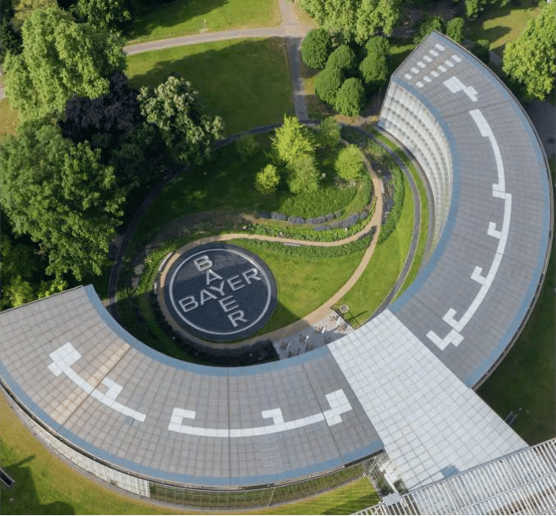 bayer-case-study-image
